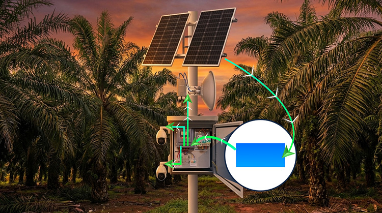 Beneficios clave para los propietarios de plantaciones